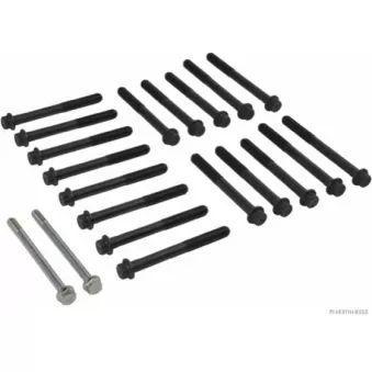 Jeu de boulons de culasse de cylindre HERTH+BUSS JAKOPARTS J1285018