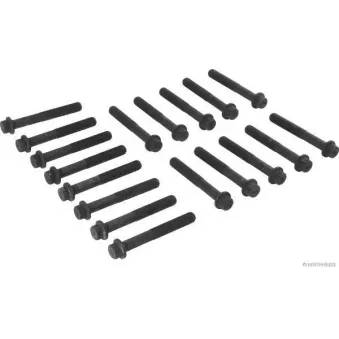 Jeu de boulons de culasse de cylindre HERTH+BUSS JAKOPARTS J1285026