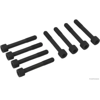 Jeu de boulons de culasse de cylindre HERTH+BUSS JAKOPARTS J1286005