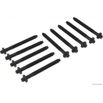 Jeu de boulons de culasse de cylindre HERTH+BUSS JAKOPARTS J1288009