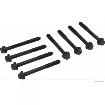 Jeu de boulons de culasse de cylindre HERTH+BUSS JAKOPARTS J1288020
