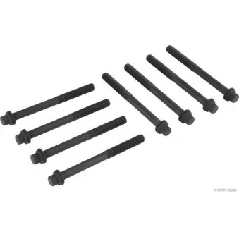 Jeu de boulons de culasse de cylindre HERTH+BUSS JAKOPARTS