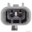 Sonde lambda HERTH+BUSS JAKOPARTS J1462021 - Visuel 2