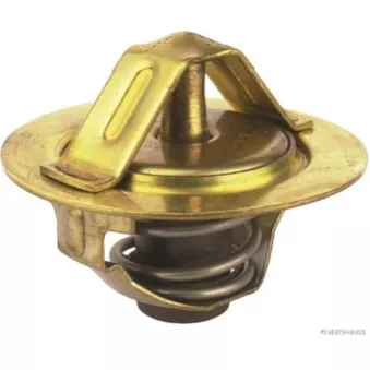 Thermostat d'eau HERTH+BUSS JAKOPARTS J1531000