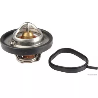 Thermostat d'eau HERTH+BUSS JAKOPARTS J1533020