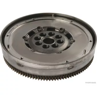 Volant moteur HERTH+BUSS JAKOPARTS J2113000