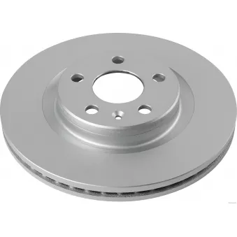 Jeu de 2 disques de frein arrière HERTH+BUSS JAKOPARTS J3300833