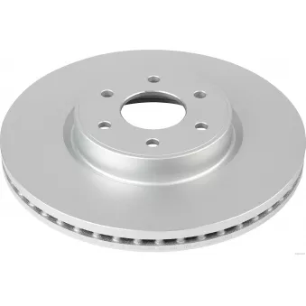 Jeu de 2 disques de frein avant HERTH+BUSS JAKOPARTS J3301116
