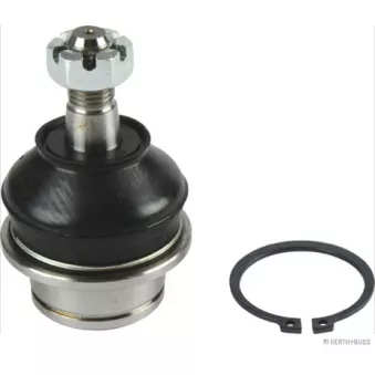 Rotule de suspension HERTH+BUSS JAKOPARTS J4981004