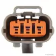 Capteur d'angle, vilebrequin HERTH+BUSS JAKOPARTS J5663007 - Visuel 2