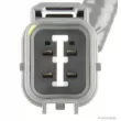 Capteur d'angle, vilebrequin HERTH+BUSS JAKOPARTS J5664000 - Visuel 2