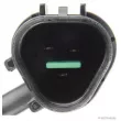 Capteur d'angle, vilebrequin HERTH+BUSS JAKOPARTS J5665009 - Visuel 2