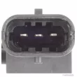 Capteur, pression des gaz échappement HERTH+BUSS JAKOPARTS J5950400 - Visuel 2