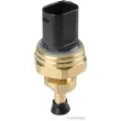 Capteur, pression des gaz échappement HERTH+BUSS JAKOPARTS J5951001 - Visuel 1