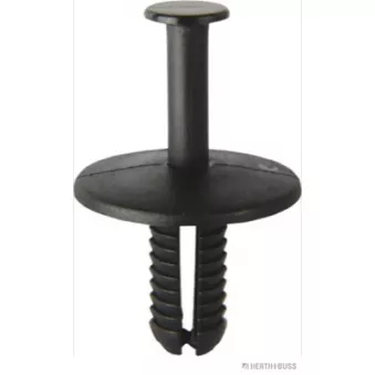 Rivet à expansion HERTH+BUSS ELPARTS 50267042