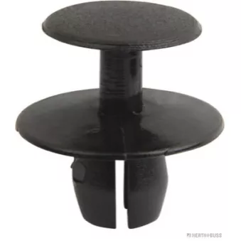 Rivet à expansion HERTH+BUSS ELPARTS 50267082
