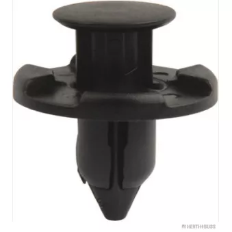 Rivet à expansion HERTH+BUSS ELPARTS 50267098