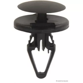 Rivet à expansion HERTH+BUSS ELPARTS 50267112