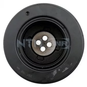 Poulie, vilebrequin SNR DPF350.04