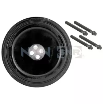 Poulie, vilebrequin SNR DPF350.04K1