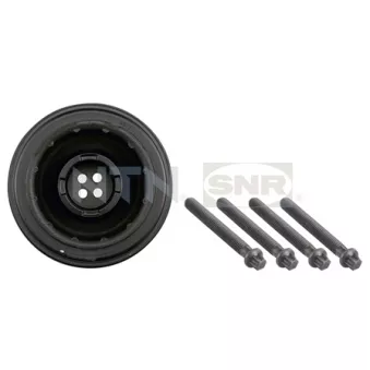Poulie, vilebrequin SNR DPF350.06K1