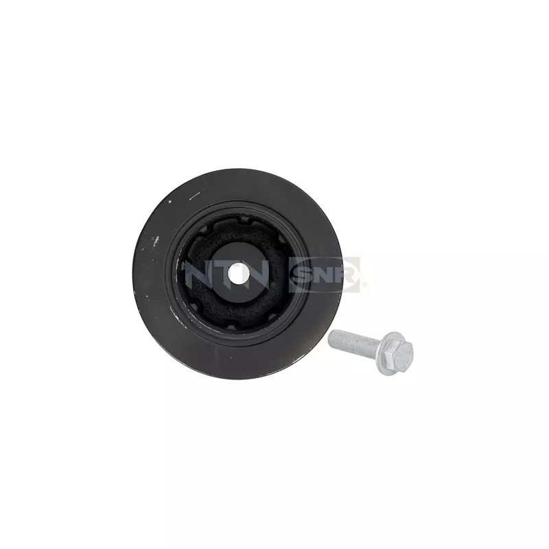 Poulie, vilebrequin SNR DPF355.17K1