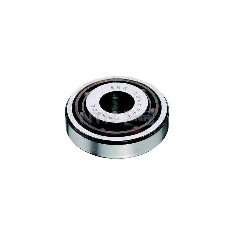 Appareil d'appui à balancier, coupelle de suspension SNR M255.06