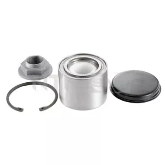 Kit de roulements de roue arrière SNR R141.28
