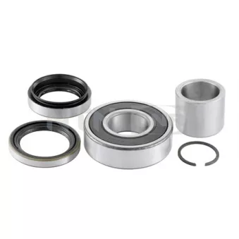 Kit de roulements de roue arrière SNR R141.38