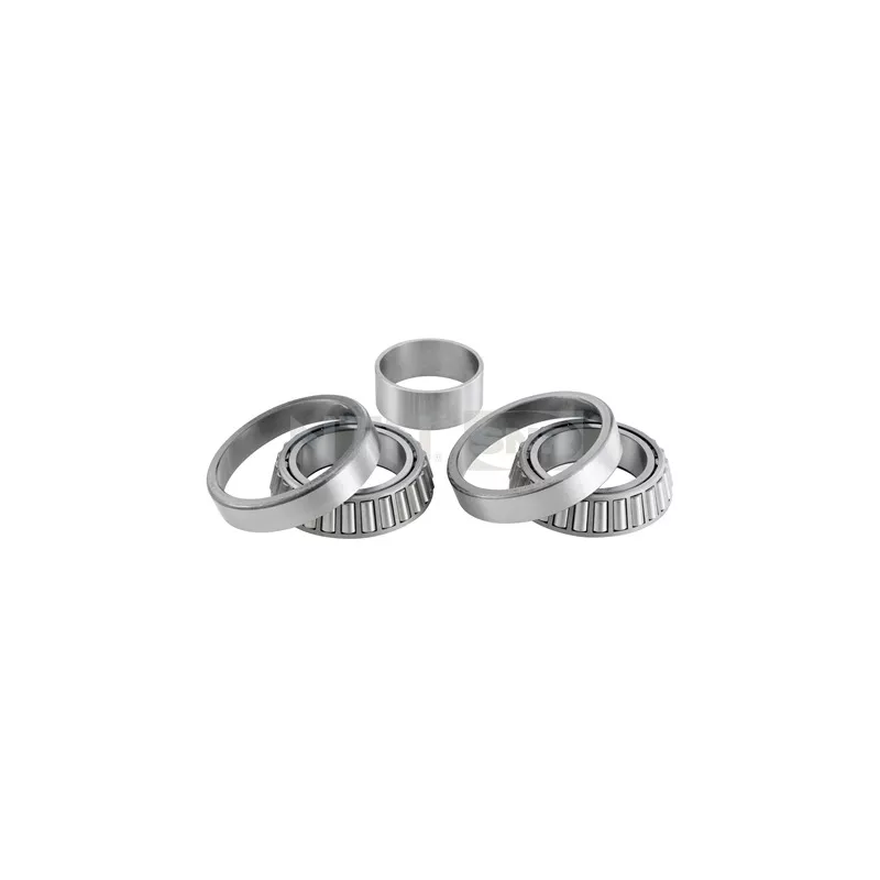 Kit de roulements de roue arrière SNR R141.39