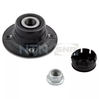 Kit de roulements de roue arrière SNR R155.67