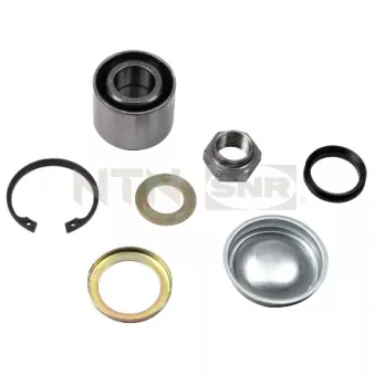 Kit de roulements de roue arrière SNR R159.19