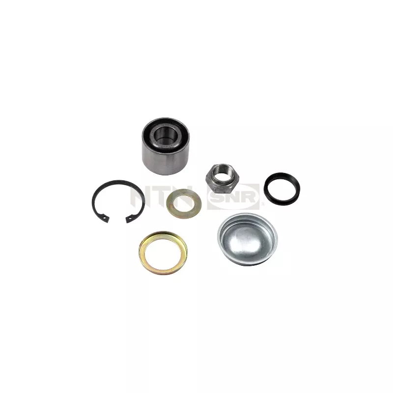 Kit de roulements de roue arrière SNR R159.19