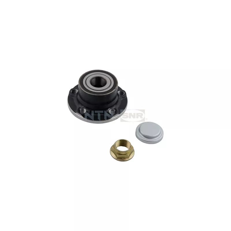 Kit de roulements de roue arrière SNR R159.46