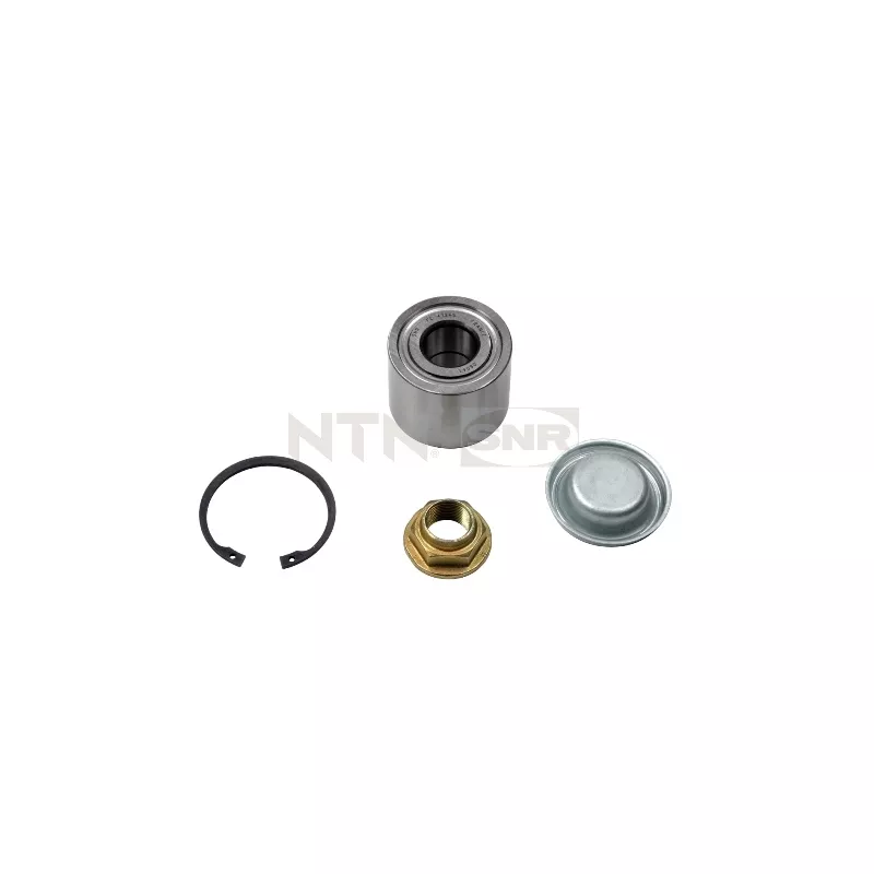 Kit de roulements de roue arrière SNR R159.48
