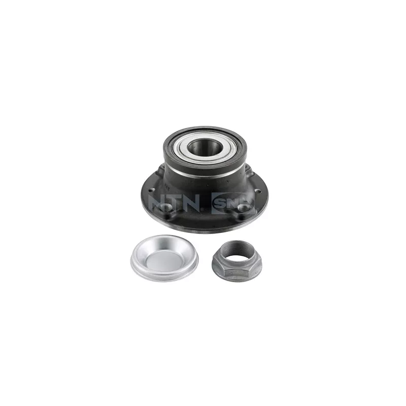 Kit de roulements de roue arrière SNR R159.63