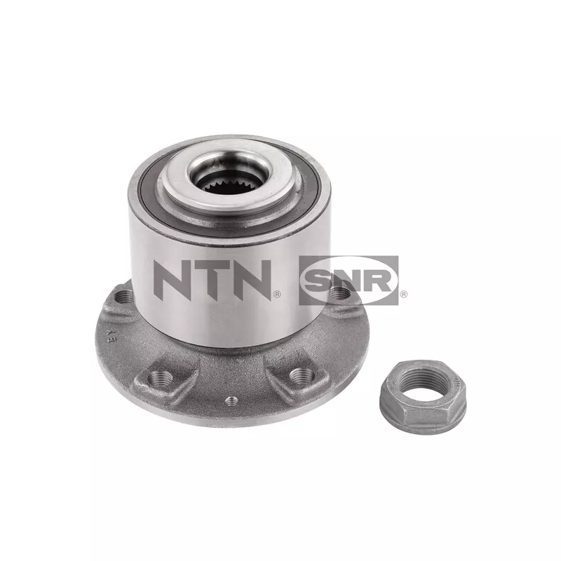 Kit de roulements de roue arrière SNR R159.70
