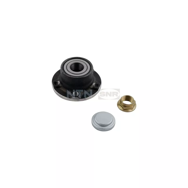 Kit de roulements de roue arrière SNR R159.99