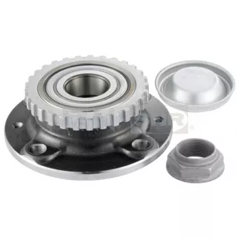 Kit de roulements de roue arrière SNR R166.29