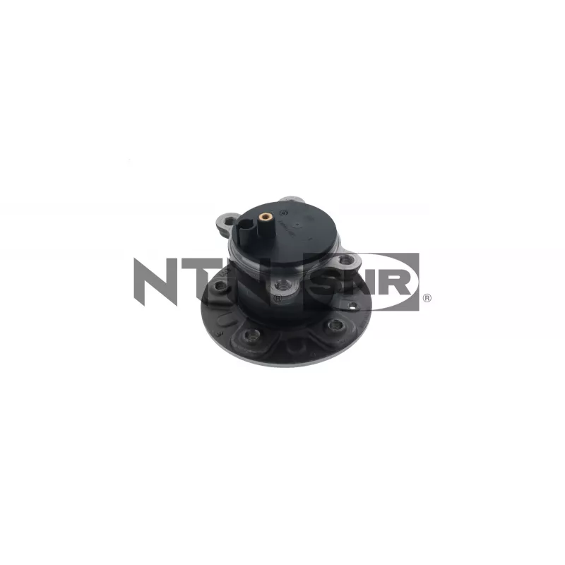 Kit de roulements de roue arrière SNR R168.136