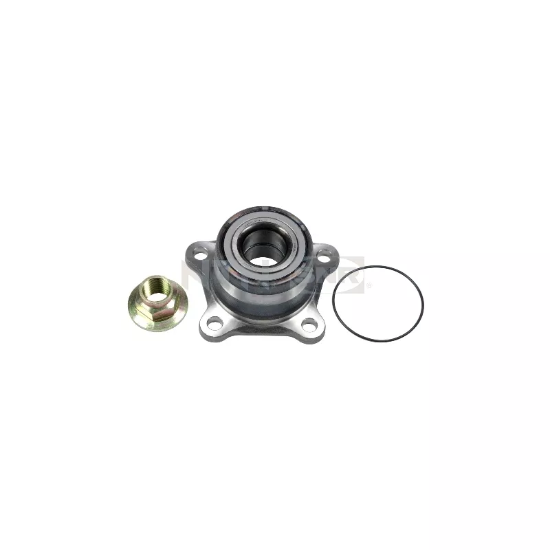 Kit de roulements de roue arrière SNR R169.20
