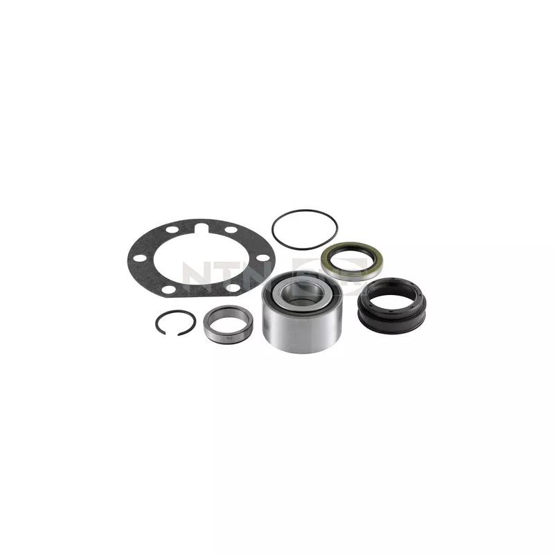 Kit de roulements de roue arrière SNR R169.91