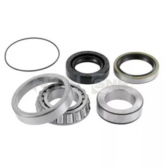 Kit de roulements de roue arrière SNR R173.20