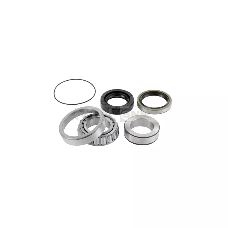 Kit de roulements de roue arrière SNR R173.20