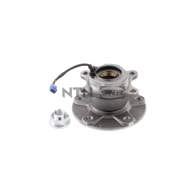 Kit de roulements de roue arrière gauche SNR R177.56