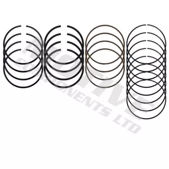 Jeu de segments de pistons MOTIVE 5291