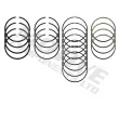 Jeu de segments de pistons MOTIVE 5312 - Visuel 2