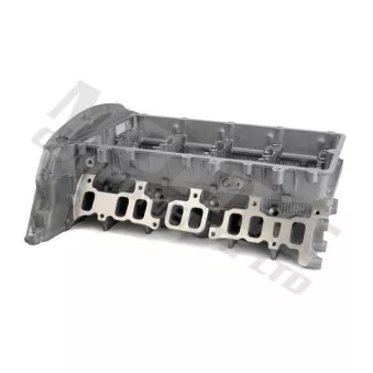 Culasse de cylindre MOTIVE CYF195
