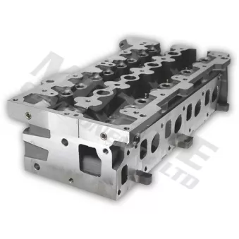 Culasse de cylindre MOTIVE CYG018