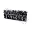 Culasse de cylindre MOTIVE CYZ950 - Visuel 1